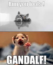 gandalfcat
