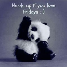 friday panda
